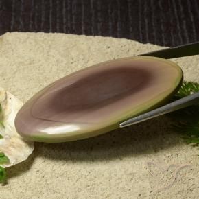 9,17 ctw natürlicher Mehrfarbig Jaspis, Oval, Lichtundurchlässig