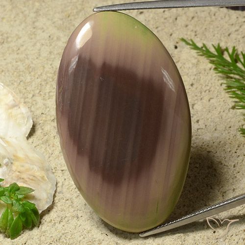 50.81ct Natürlicher Mehrfarbig Jaspis, Oval, Lichtundurchlässig