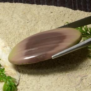 9,17 ctw natürlicher Mehrfarbig Jaspis, Oval, Lichtundurchlässig