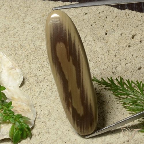 26.40ct Natürlicher Mehrfarbig Jaspis, Oval, Lichtundurchlässig