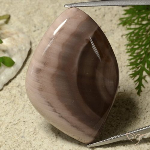 55.75ct Natürlicher Mehrfarbig Jaspis, Fantasie, Lichtundurchlässig