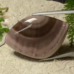 9,17 ctw natürlicher Mehrfarbig Jaspis, Fantasie, Lichtundurchlässig