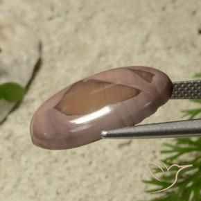 9,17 ctw natürlicher Mehrfarbig Jaspis, Oval, Lichtundurchlässig