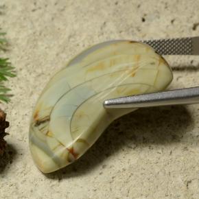 9,17 ctw natürlicher Mehrfarbig Jaspis, Ausgefallene Form, Lichtundurchlässig