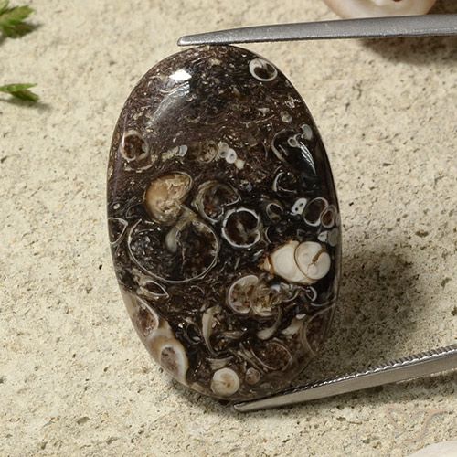 31.54ct Natürlicher Mehrfarbig Jaspis, Oval, Lichtundurchlässig