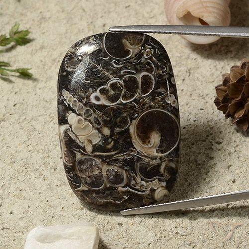 35.69ct Natürlicher Mehrfarbig Jaspis, Kissen, Lichtundurchlässig