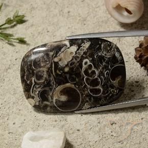 9,17 ctw natürlicher Mehrfarbig Jaspis, Kissen, Lichtundurchlässig