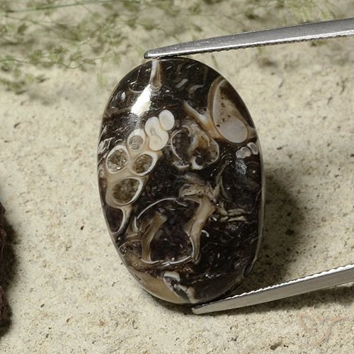 22.52ct Natürlicher Mehrfarbig Jaspis, Oval, Lichtundurchlässig