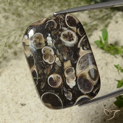 34.23ct Natürlicher Mehrfarbig Jaspis, Kissen, Lichtundurchlässig