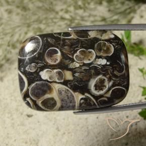 9,17 ctw natürlicher Mehrfarbig Jaspis, Kissen, Lichtundurchlässig