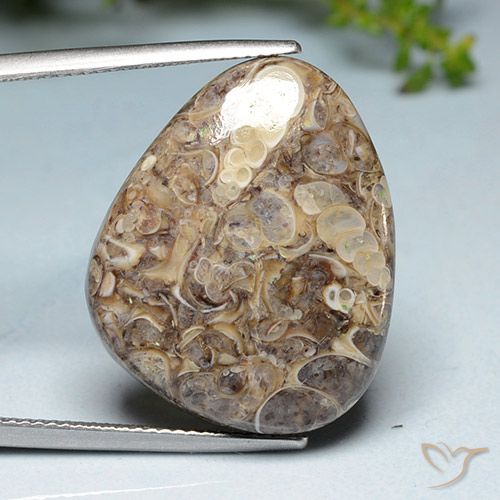 20.52ct Natürlicher Mehrfarbig Jaspis, Fantasie, Lichtundurchlässig