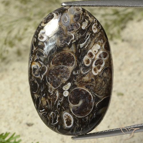 28.41ct Natürlicher Mehrfarbig Jaspis, Oval, Lichtundurchlässig