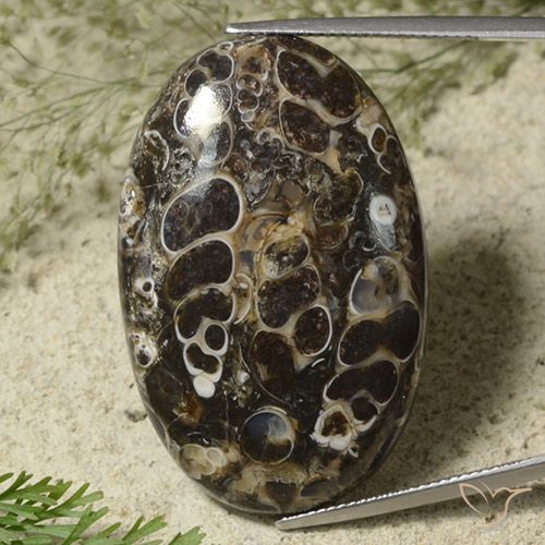 44.95ct Natürlicher Mehrfarbig Jaspis, Oval, Lichtundurchlässig