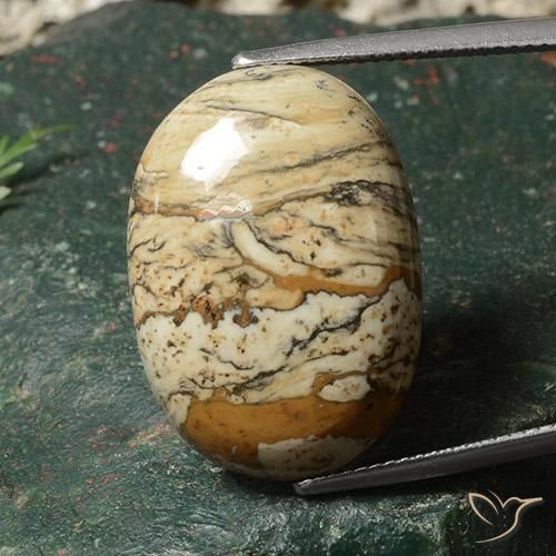19.06ct Natürlicher Mehrfarbig Jaspis, Oval, Lichtundurchlässig
