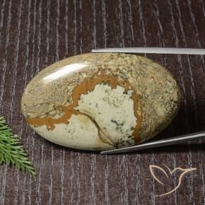 9,17 ctw natürlicher Mehrfarbig Jaspis, Oval, Lichtundurchlässig