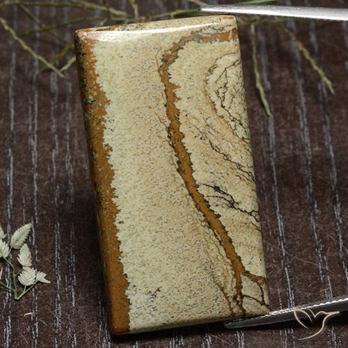 45.53ct Natürlicher Mehrfarbig Jaspis, Baguette, Lichtundurchlässig