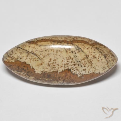 29.48ct Natürlicher Mehrfarbig Jaspis, Marquise, Lichtundurchlässig