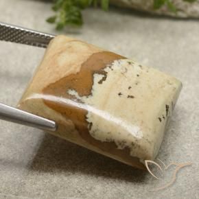 9,17 ctw natürlicher Mehrfarbig Jaspis, Baguette, Lichtundurchlässig