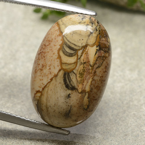 13,79 ctw natürlicher mehrfarbiger Jaspis, Oval Schliff, Lichtundurchlässig
