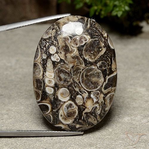 39.98ct Natürlicher Mehrfarbig Jaspis, Oval, Lichtundurchlässig