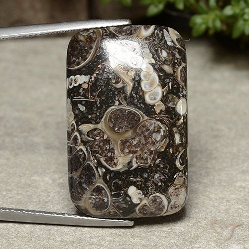 32.91ct Natürlicher Mehrfarbig Jaspis, Kissen, Lichtundurchlässig