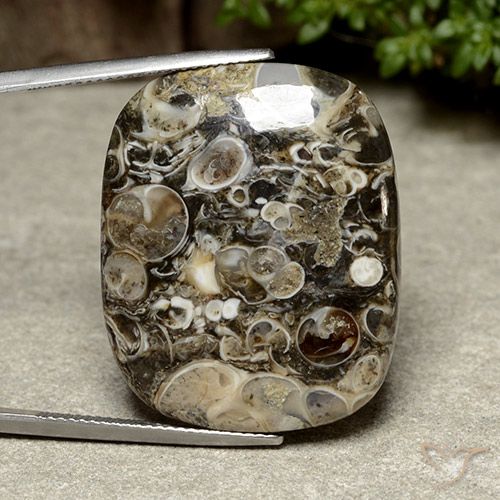 38.76ct Natürlicher Mehrfarbig Jaspis, Kissen, Lichtundurchlässig