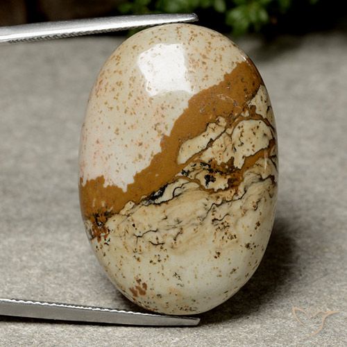 40.14ct Natürlicher Mehrfarbig Jaspis, Oval, Lichtundurchlässig