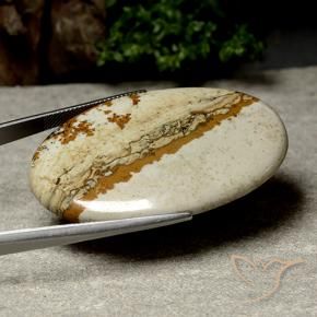 9,17 ctw natürlicher Mehrfarbig Jaspis, Oval, Lichtundurchlässig