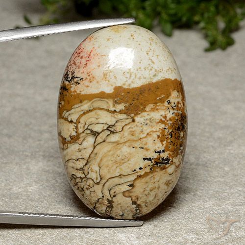 38.46ct Natürlicher Mehrfarbig Jaspis, Oval, Lichtundurchlässig