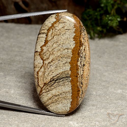 53.24ct Natürlicher Mehrfarbig Jaspis, Oval, Lichtundurchlässig