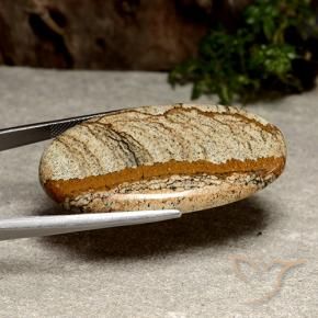 9,17 ctw natürlicher Mehrfarbig Jaspis, Oval, Lichtundurchlässig