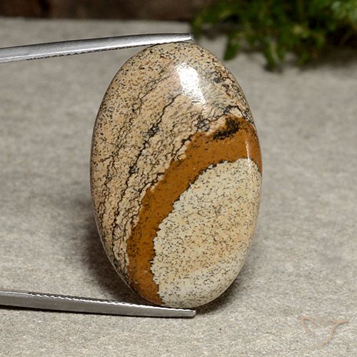 32.32ct Natürlicher Mehrfarbig Jaspis, Oval, Lichtundurchlässig