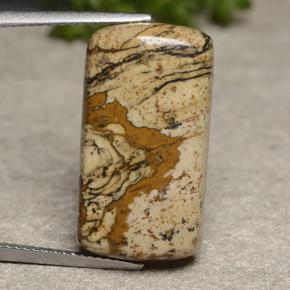 13,18 ctw natürlicher mehrfarbiger Jaspis, Kissenschliff, Lichtundurchlässig