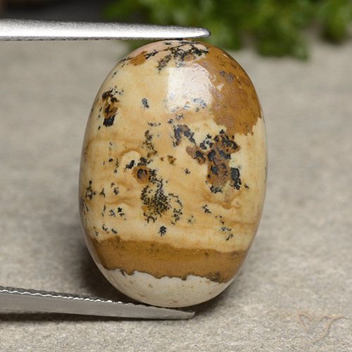14.50ct Natürlicher Mehrfarbig Jaspis, Oval, Lichtundurchlässig