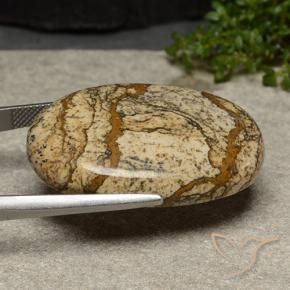 9,17 ctw natürlicher Mehrfarbig Jaspis, Oval, Lichtundurchlässig