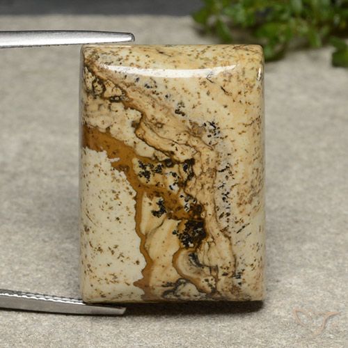 31.56ct Natürlicher Mehrfarbig Jaspis, Baguette, Lichtundurchlässig