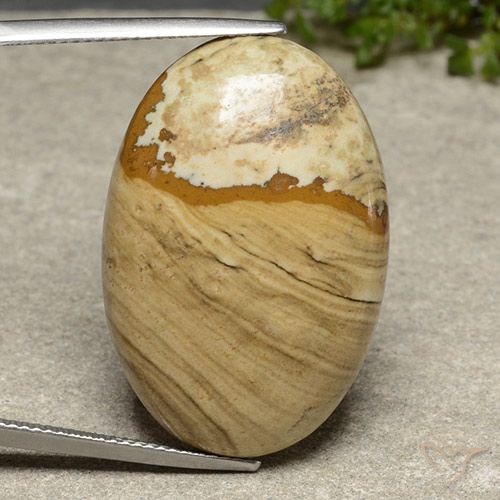 31.11ct Natürlicher Mehrfarbig Jaspis, Oval, Lichtundurchlässig
