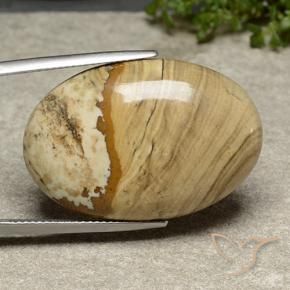 9,17 ctw natürlicher Mehrfarbig Jaspis, Oval, Lichtundurchlässig