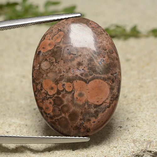 19.34ct Natürlicher Mehrfarbig Jaspis, Oval, Lichtundurchlässig