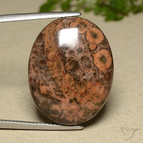 22.97ct Natürlicher Mehrfarbig Jaspis, Oval, Lichtundurchlässig