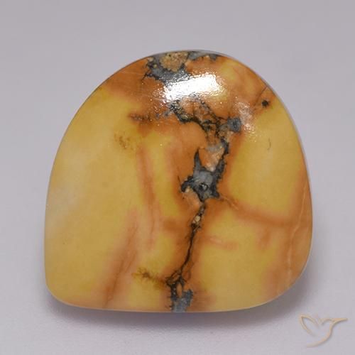 16.81ct Natürlicher Mehrfarbig Jaspis, Fantasie, Lichtundurchlässig