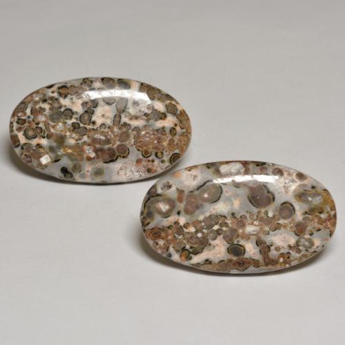 24.09 ct natürliche Mehrfarbig Jaspis-Edelsteine, Oval Schliff, Lichtundurchlässig