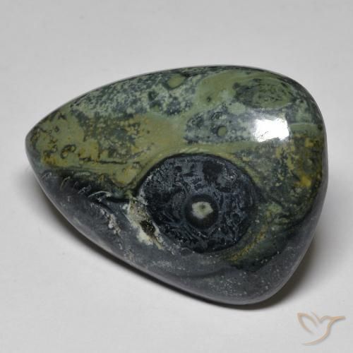 32.43ct Natürlicher Mehrfarbig Jaspis, Birnenform, Lichtundurchlässig