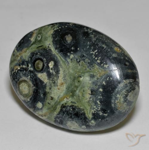 63.38ct Natürlicher Mehrfarbig Jaspis, Oval, Lichtundurchlässig