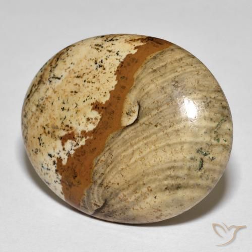 26.64ct Natürlicher Mehrfarbig Jaspis, Oval, Lichtundurchlässig