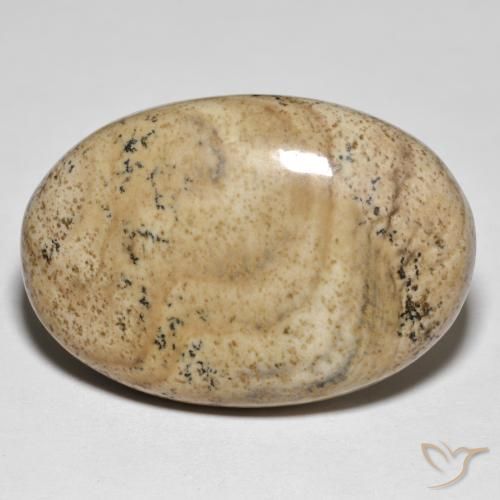 31.50ct Natürlicher Mehrfarbig Jaspis, Oval, Lichtundurchlässig