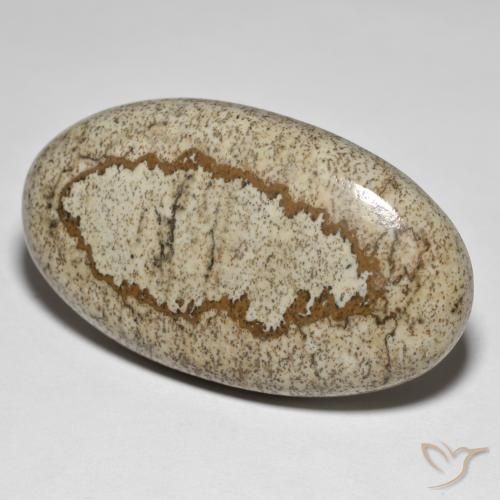 50.64ct Natürlicher Mehrfarbig Jaspis, Oval, Lichtundurchlässig