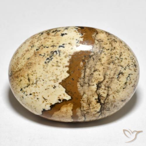 24.19ct Natürlicher Mehrfarbig Jaspis, Oval, Lichtundurchlässig
