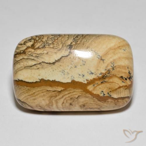 62.57ct Natürlicher Mehrfarbig Jaspis, Kissen, Lichtundurchlässig
