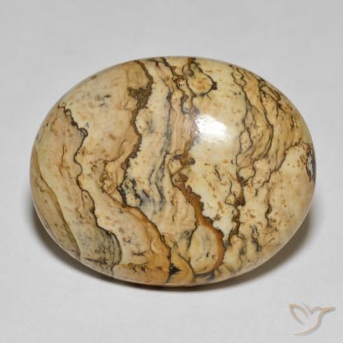 25.04ct Natürlicher Mehrfarbig Jaspis, Oval, Lichtundurchlässig